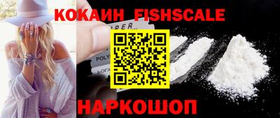 гашик Жуковский