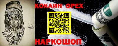 гашик Жуковский