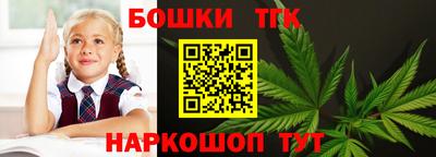 гашик Жуковский