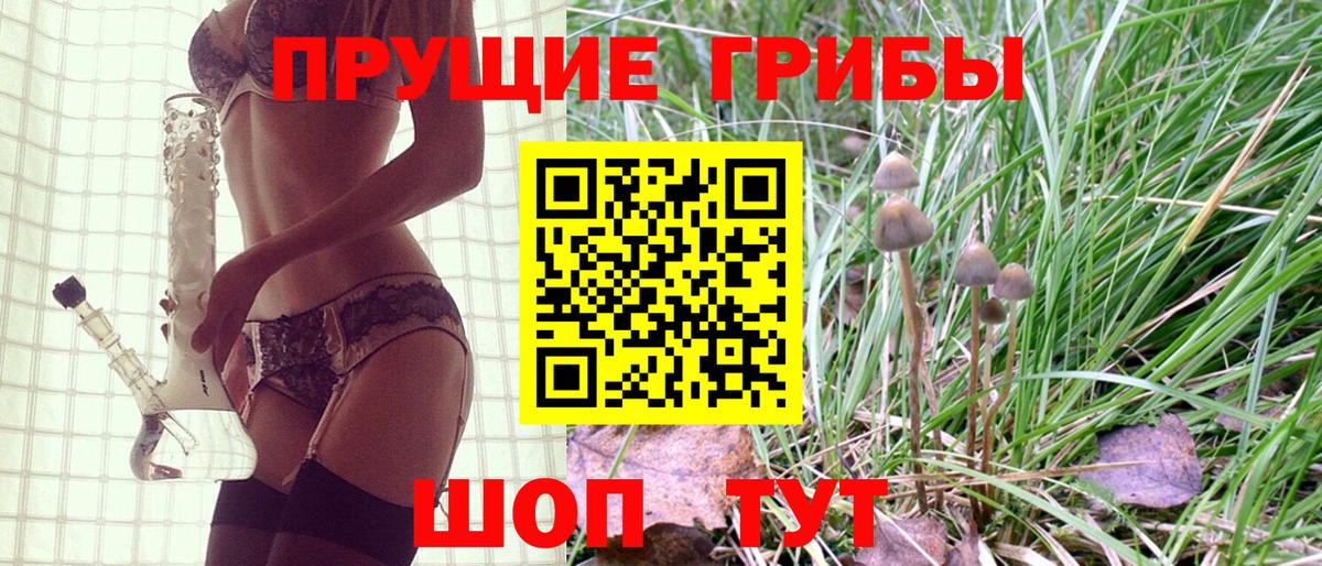 Луховицы  Псилоцибиновые грибы мухоморы  Вход с VPN 