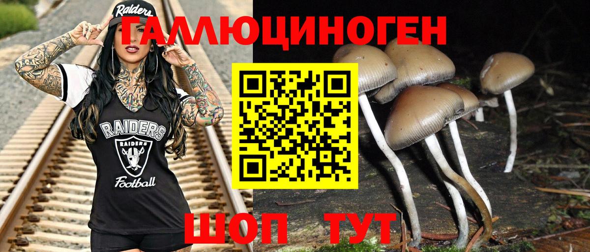Псилоцибиновые грибы мицелий Луховицы
